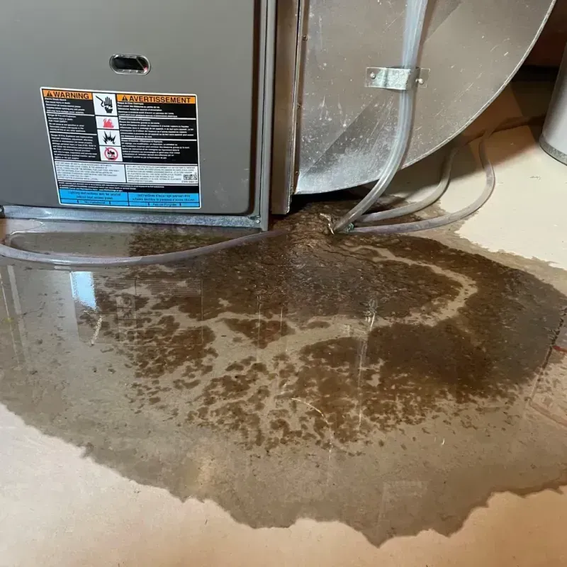 Appliance Leak Cleanup in Aplington, IA